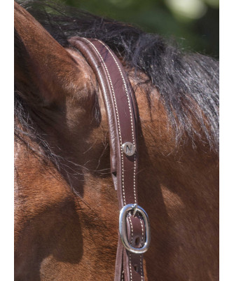 Norton - Licol cuir Grooming