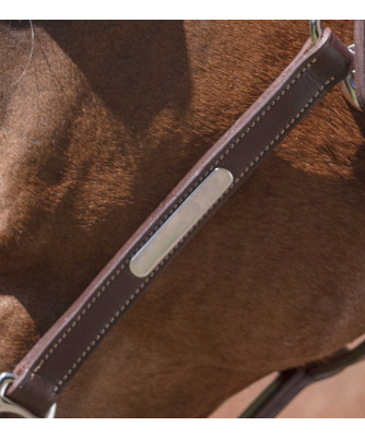 Norton - Licol cuir Grooming