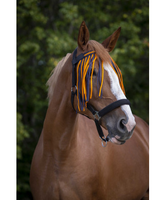 NORTON - Frontal chasse-mouches