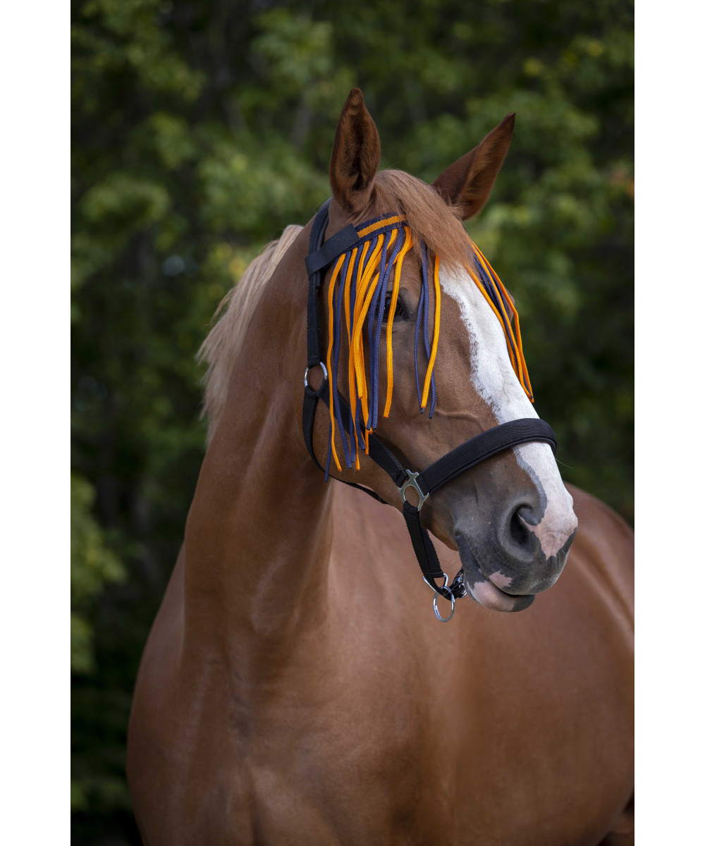 NORTON - Frontal chasse-mouches