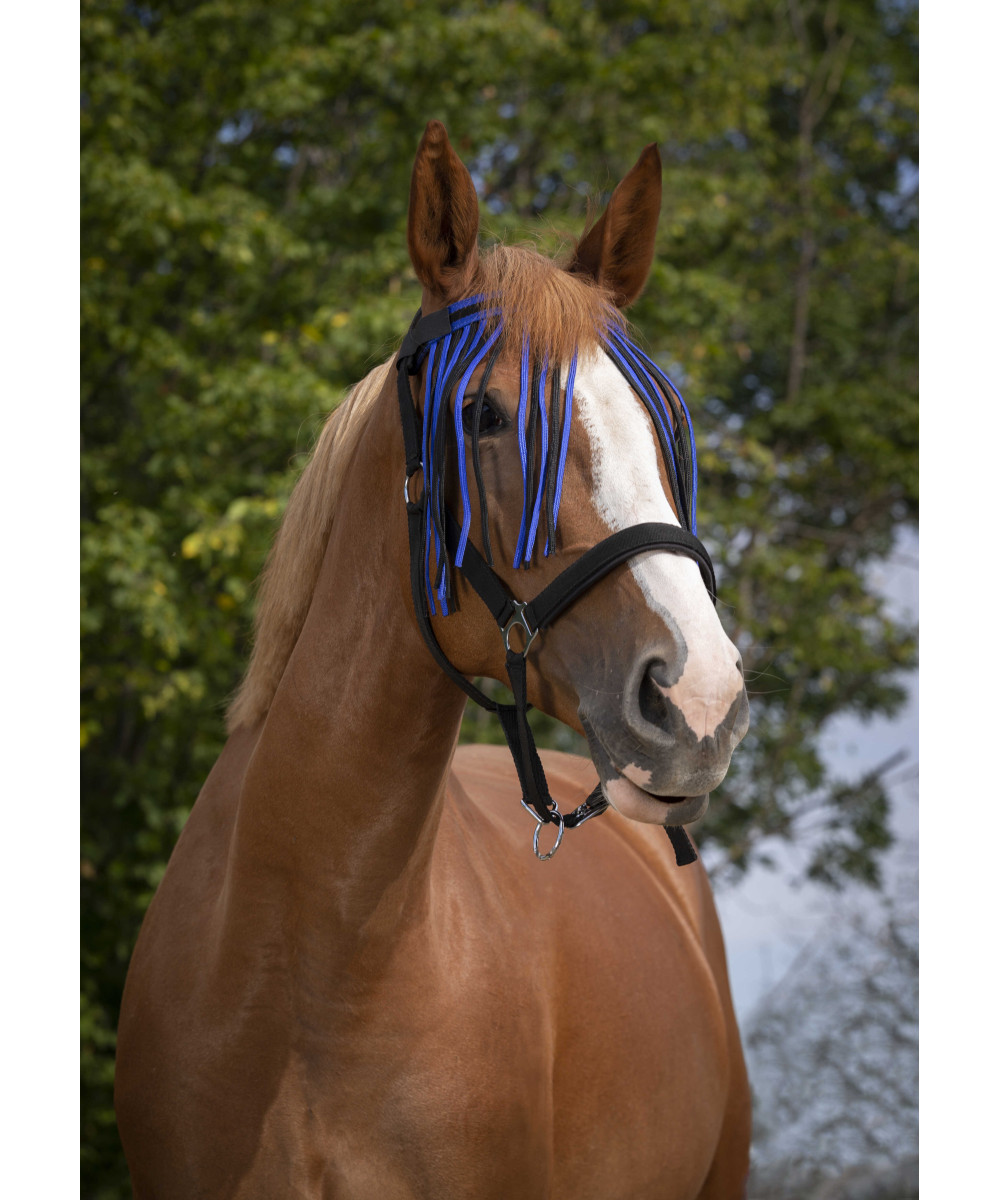 NORTON - Frontal chasse-mouches