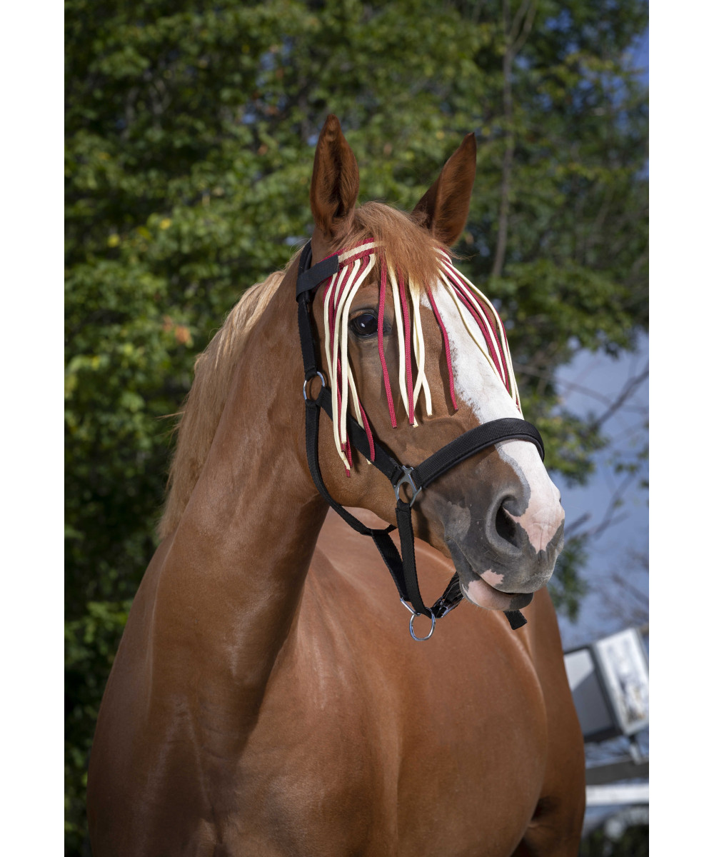 NORTON - Frontal chasse-mouches