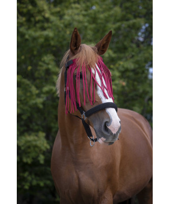 NORTON - Frontal chasse-mouches