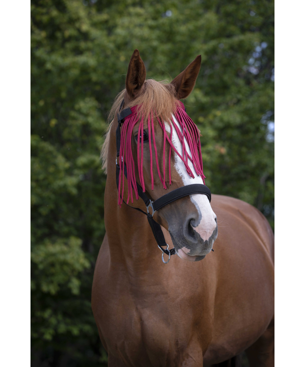 NORTON - Frontal chasse-mouches