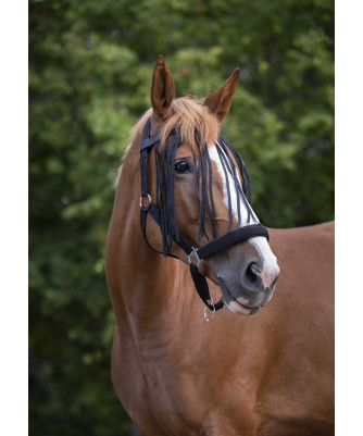 NORTON - Frontal chasse-mouches