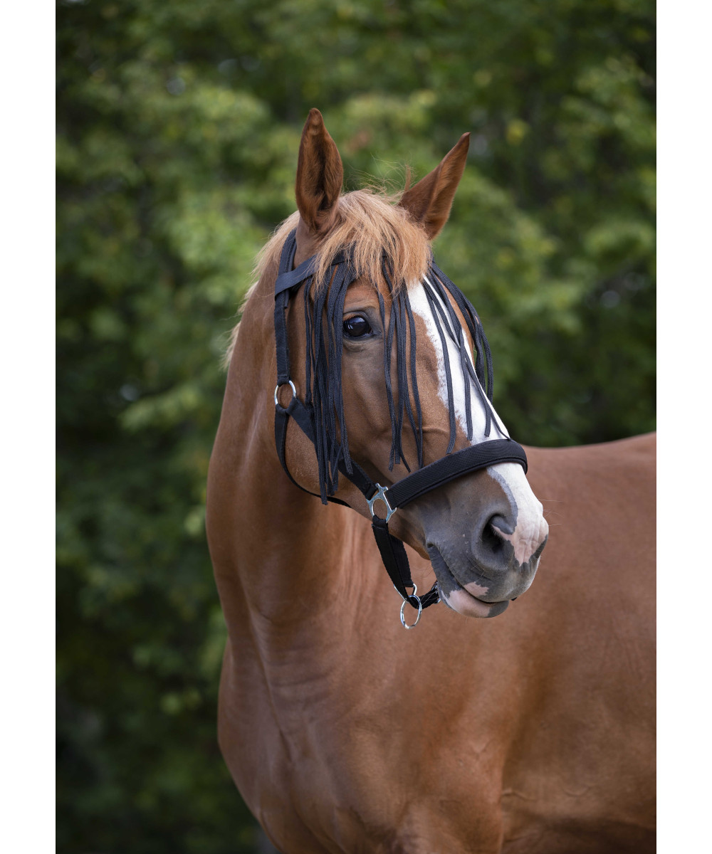 NORTON - Frontal chasse-mouches