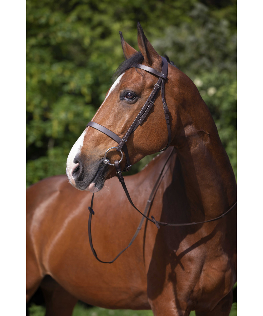 Riding World - Bridon Muserolle française