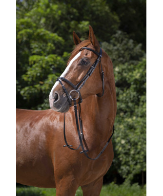 Riding World - Bridon Muserolle combinée