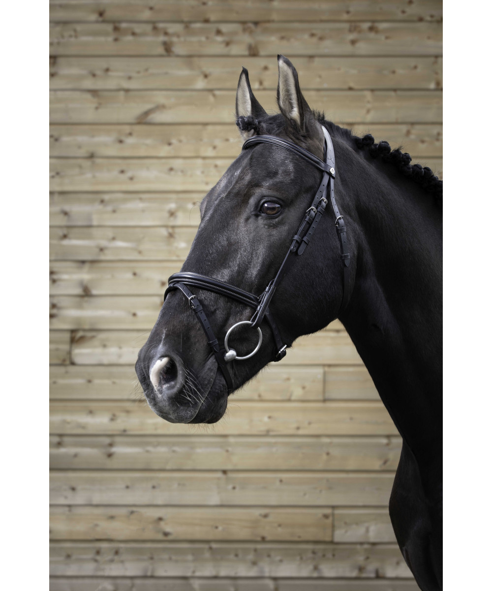 NORTON PRO - Bridon fin