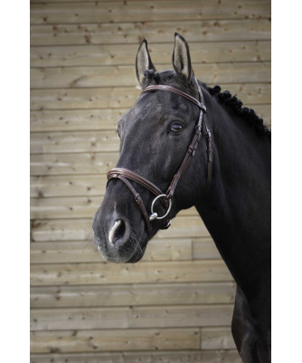 NORTON PRO - Bridon fin