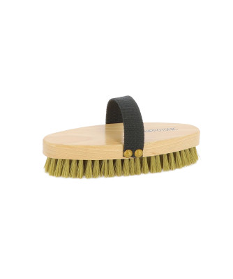 Hippotonic - Brosse douce petit modèle