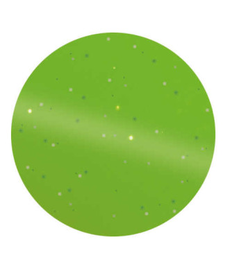 Hippotonic - Etrille métallique ronde fluo pailleté