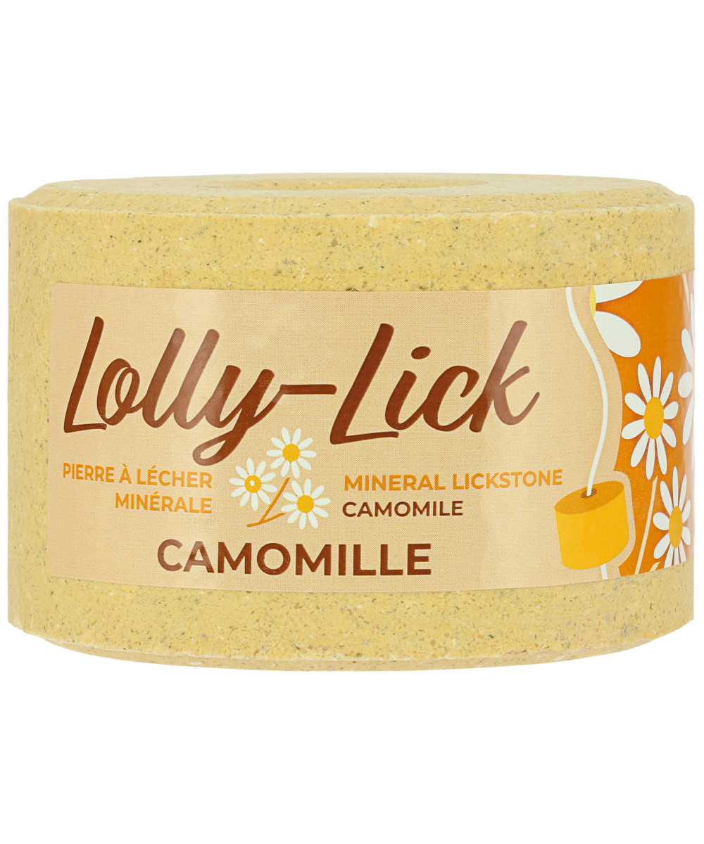 HIPPOTONIC - Pierre à sel LOLLY-LICK