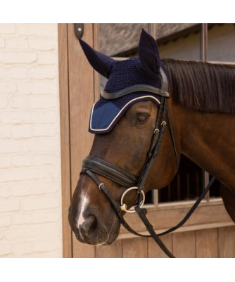 Kentucky - Bonnet Wellington Velvet