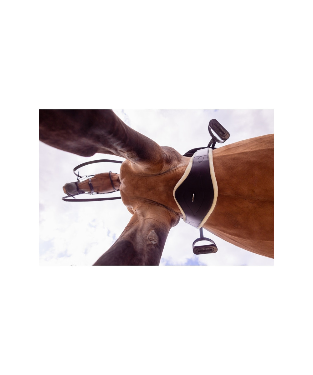 T de T - Sangle Anatomique Cuir Mouton Doublure Amovible