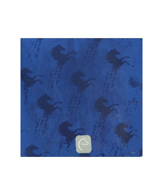EQUITHEME - Softshell EQUI-KIDS Amandine