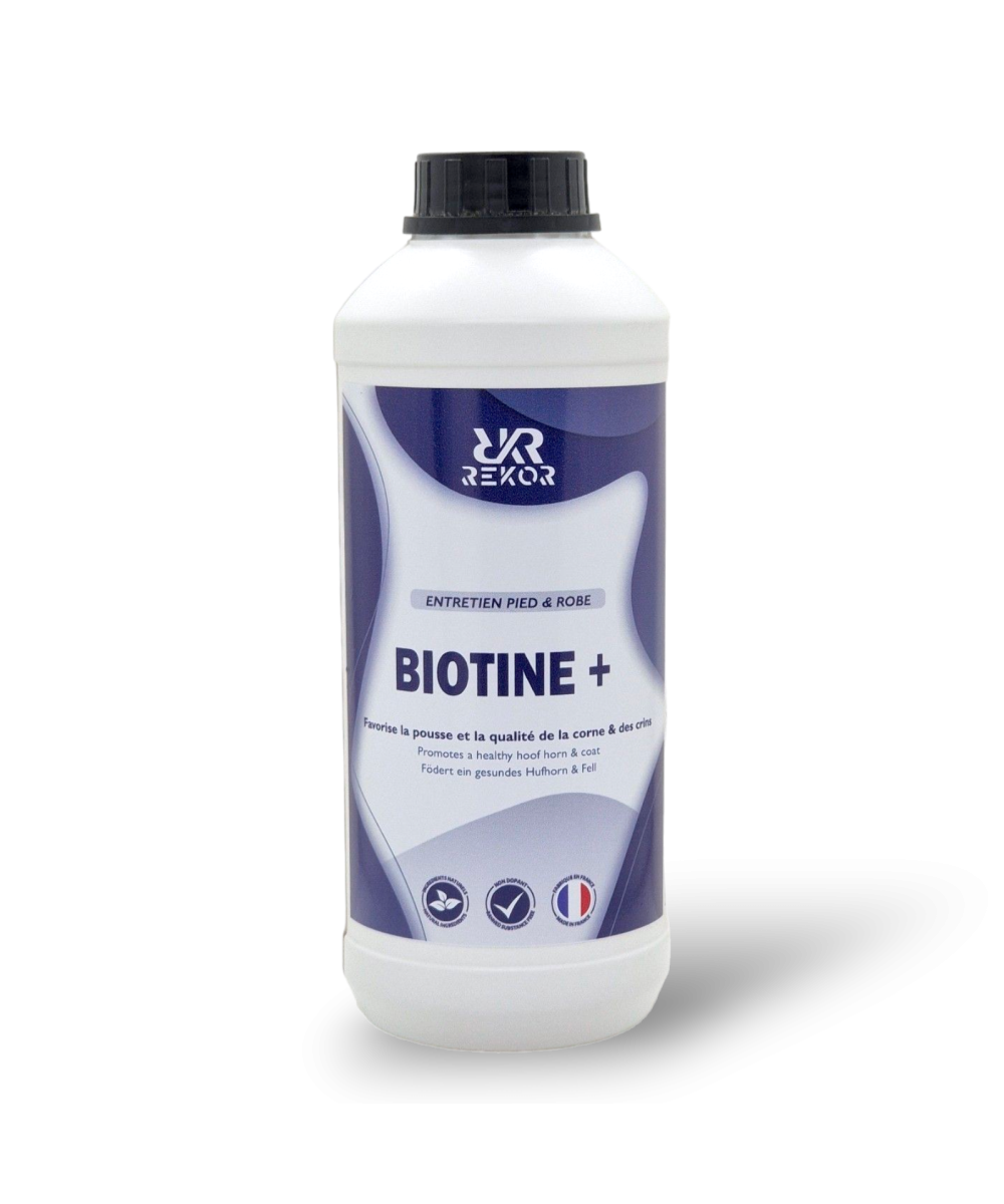 REKOR - Biotine +