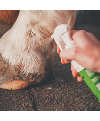 Cura Naturale - Soin blessure & saignement spray