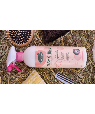 Ravene - Easy Shine - Démêlant lustrant