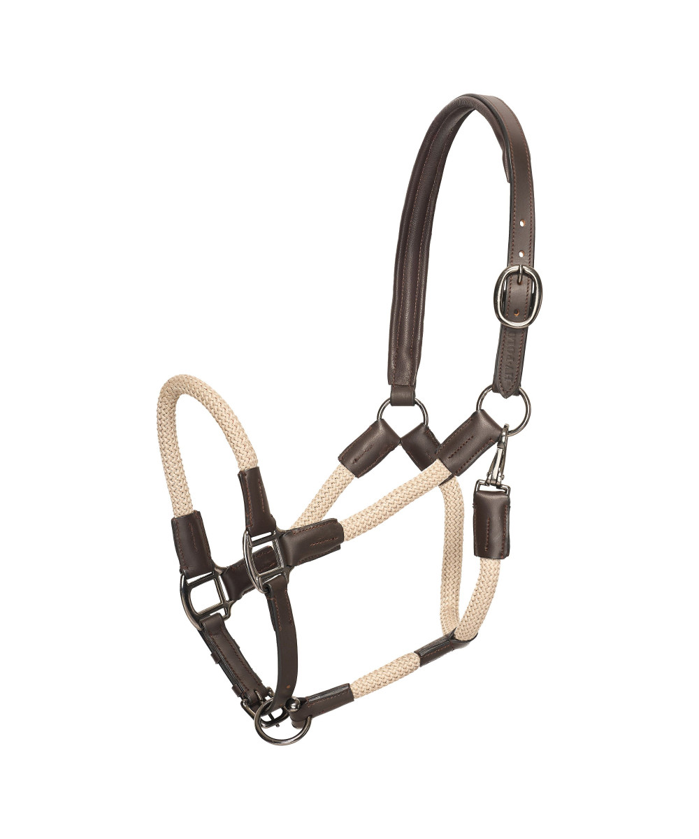 HV POLO - Licol Franka