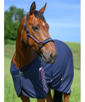 TOMMY EQUESTRIAN -  Ensemble licol et longe Yale