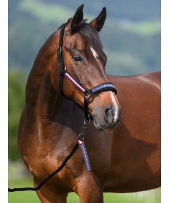 TOMMY EQUESTRIAN -  Ensemble licol et longe Yale