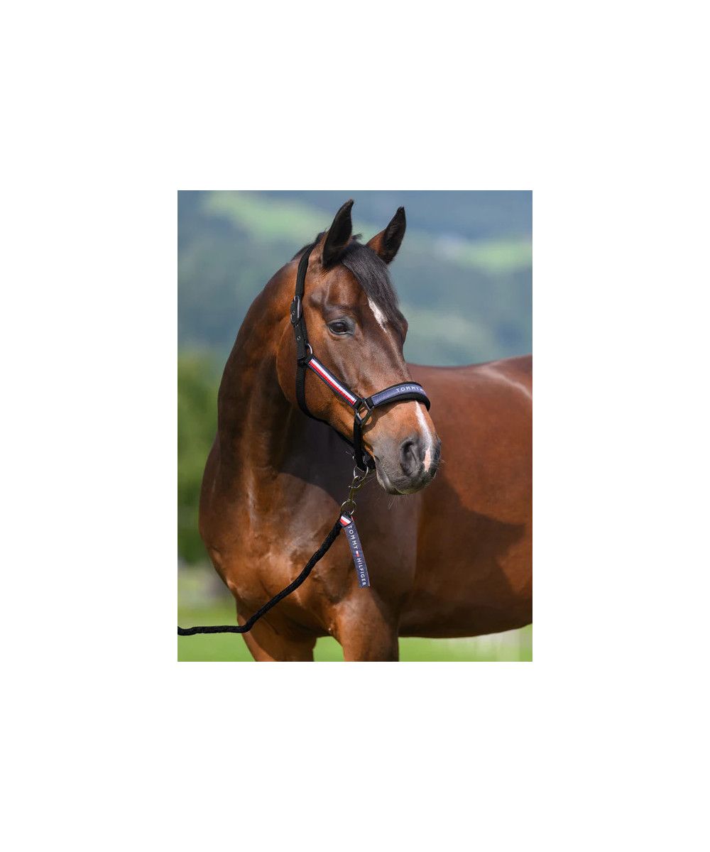 TOMMY EQUESTRIAN -  Ensemble licol et longe Yale