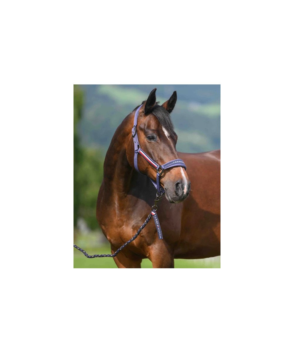 TOMMY EQUESTRIAN -  Ensemble licol et longe Yale