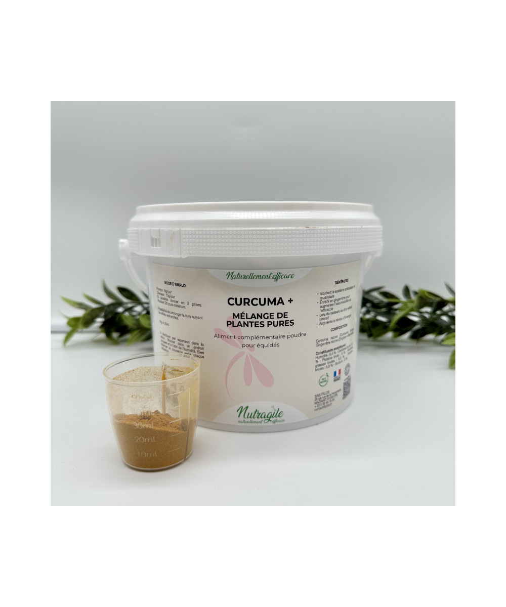 Nutragile - Curcuma +