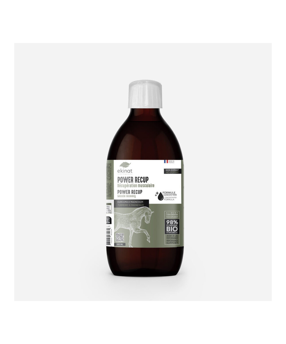 Ekinat - Power Recup
