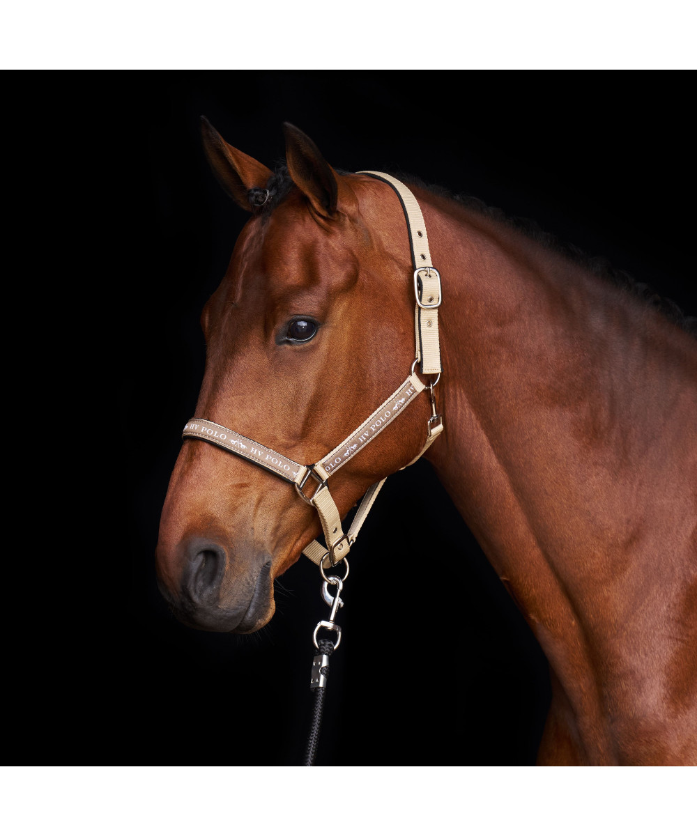 HV POLO - Licol Nena
