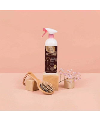 Ravene - Easy Shine - Démêlant lustrant