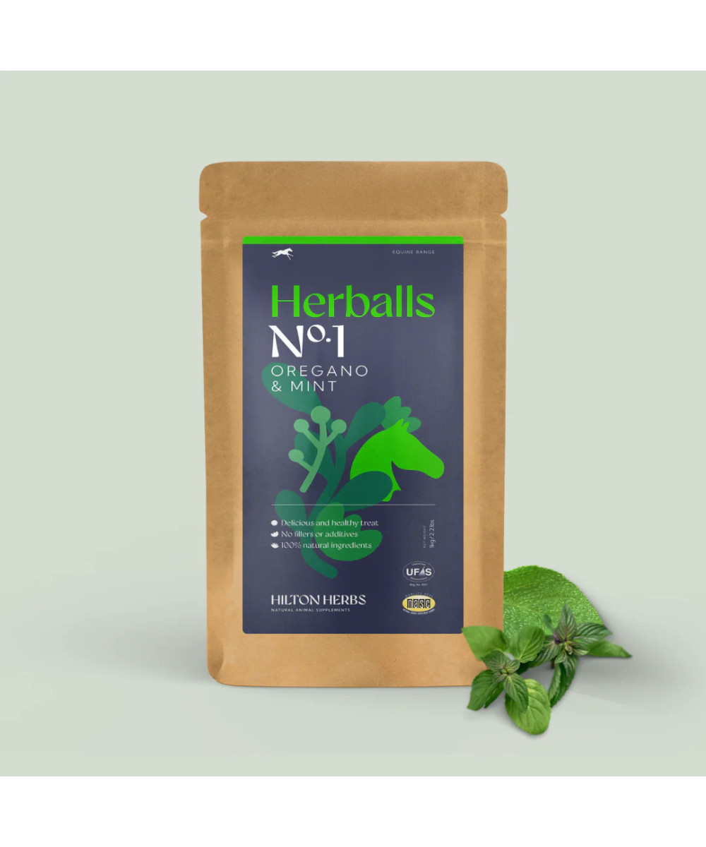 Hiltons Herbs Herballs n°1 Menthe & Origan
