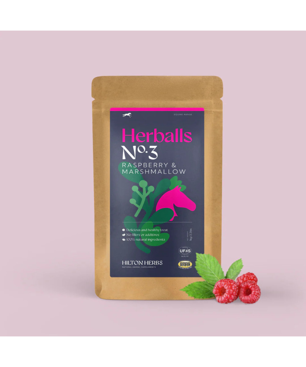 Hiltons Herbs Herballs n°3 Framboisier & Guimauve