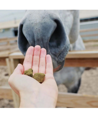 Hiltons Herbs Herballs n°4 Myrtille & Thym