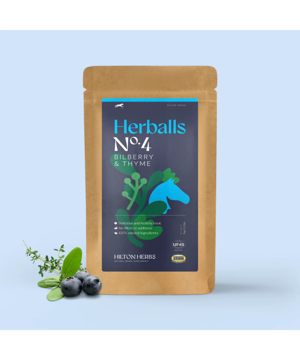 Hiltons Herbs Herballs n°4 Myrtille & Thym