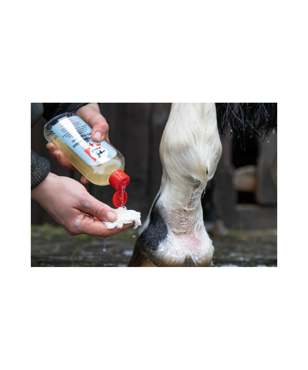 Leovet - Lotion lavante Med