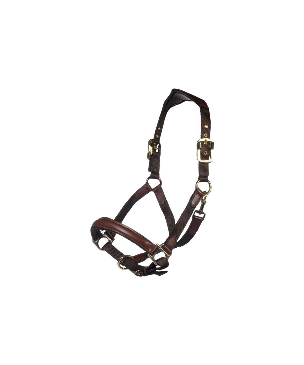 Licol -Luna cuir et nylon