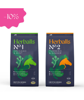 Hilton Herbs Herballs Le duo aromatique
