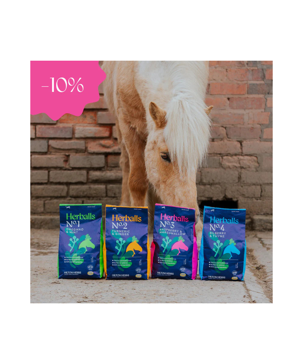 Hilton Herbs Herballs Pack découverte