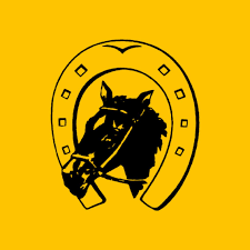 ODM